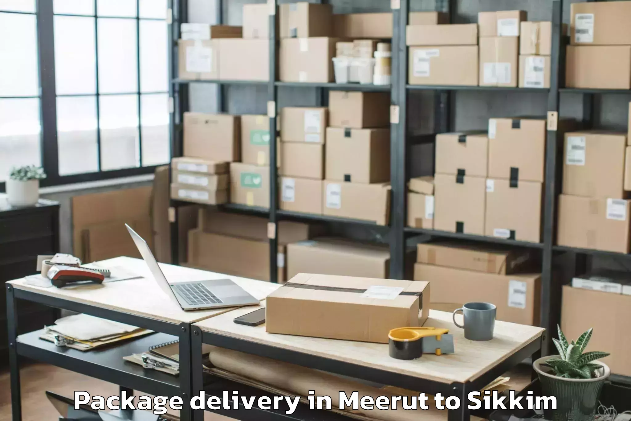 Hassle-Free Meerut to Srm University Sikkim Gangtok Package Delivery